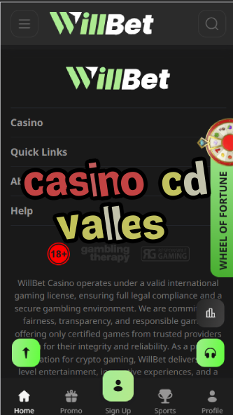 Casino CD Valles - Spanish Casino Venue-casino25demayo.casinoorder.vip
